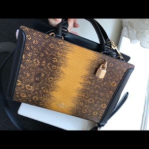 💫🌟Brand New Coach Zoe CarryAll Crossbody 💫🌟